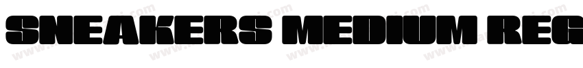 SNEAKERS MEDIUM REGULAR字体字体转换